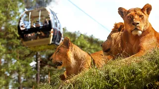 Kolmården Wildlife Park. Part-1