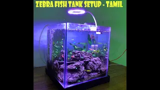 Zebra Fish Tank Setup in Tamil | Zebra Danio Tank  | Indian Fish |#zebrafish | #aquafish#9047475743