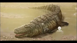 purussaurus brasiliensis growl ( using close relatives)