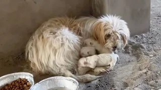 Lying trembling in the corner of the house, she tried to use her body to protect her three children