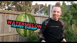 M dot R - Cook & Vibe - Watermelon Pepper Shrimp (Episode 2)