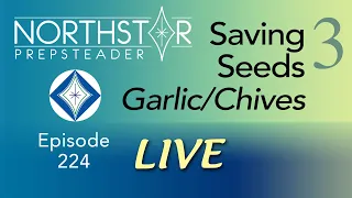 SAVING SEEDS #3 for GARLIC & Chives • NORTHSTAR Live! Ep. 224