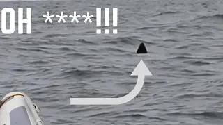 GREAT WHITE SHARK Encounter on Inflatable Boat (WARNING: STRONG LANGUAGE)