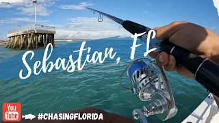 The BEST Fishing Spot in Florida!? Sebastian Inlet