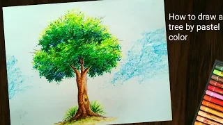 How to draw tree by pastel color ||tree painting