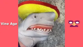 SHARK PUPPET FUNNY SKITS VIDEO | Try Not To Laugh Watching Shark Puppet Comedy