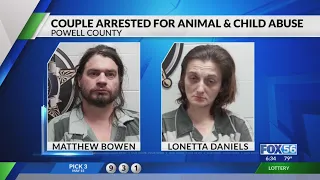 24 dogs rescued from 'uninhabitable' Powell County home, pair arrested