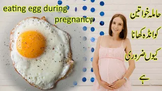 eating egg during pregnancy in urdu | hindi