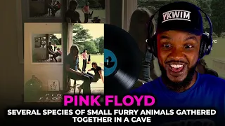 🎵 Pink Floyd - Several Species of Small Furry Animals Gathered Together in a Cave REACTION