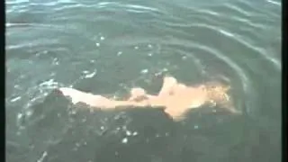 Capt Gets Slapped by Shark