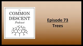 Episode 73 - Trees