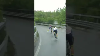 😨😨😨 #giroditalia #giro #giroditalia2023 #bikecrush #cycling #ciclismo #bike #bikecrashing #shrots