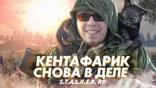 Странная история Сталкера - курьера (DayZ STALKER RP)