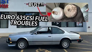 Solving the Euro "Dirty M30" 635csi's Fuel Delivery Issues