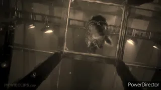 underwater scene scenes edit: cats and dogs 2 underwater scenes vintage
