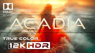 Acadia Maine HDR 8K 60fps Dolby Vision