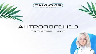 Антропогенез | Пилюля 2022