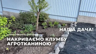 Наша дача! Накриваємо агротканиною клумбу.