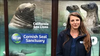 We are now open, please book your visit via sealsanctuary.sealifetrust.org