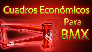 Cuadros económicos para Bmx