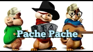 Pache Pache - Alvin y Las Ardillas (Cumbia 2024)