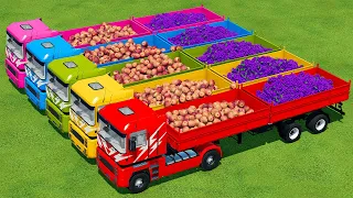 LOAD AND TRANSPORT APPLES & GRAPES WITH RIGI TRAC TRACTORS - Farming Simulator 22