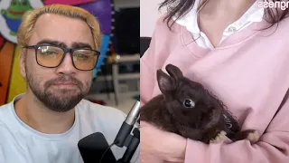 The Sad Story of Kiwi the Rabbit (Mizkif and Emiru)