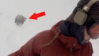 Snowboarder Girl CHASED BY BEAR - Real or Fake?