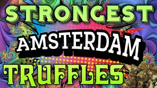 Taking The STRONGEST Magic Truffles in Amsterdam