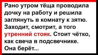 Тёща смотрит, а у зятя утренний стояк... Анекдоты! Юмор! Позитив!