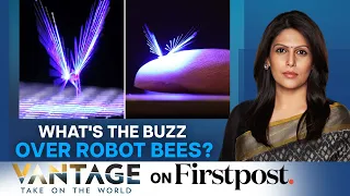 Buzz Over Robot Bees | Threat to Bees Leads to Development of Robot Bees | Vantage with Palki Sharma