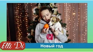 Новый год Рождество - НГ рядом! Ёлка, подарки, новогоднее настроение. New Year Elli Di DIY.