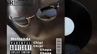 Chipi Chipi Chapa Chapa (Remix)