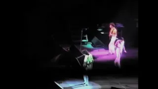 Queen - Live in Vienna (July 22nd, 1986) - Audience Footage