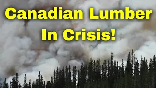 The Lumber Situation in Canada. How Fires, Droughts, Tariffs, and More are Impacting Canadian Lumber
