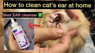 How to clean cat’s ear at home || virbac salicylic acid ear cleanser  || best ear Cleanser for cats
