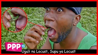 LOCUST PARODY - INNOSS'B FT DIAMOND PLATNUMZ YOPE REMIX