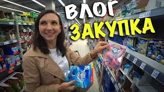 ✔ Влог: ЗАКУПКА ПРОДУКТОВ НА НЕДЕЛЮ ✔ Сколько стоит получить права в Германии