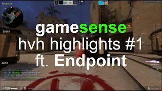 gamesense Semirage ft. endpoint / privatehvh highlights #1