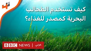 الطحالب البحرية كمصدر للغذاء غني بالفيتامينات