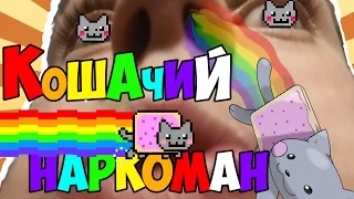 ТиMIX накурился,НЯШ-МЯШ|Nyan Cat Lost In Space