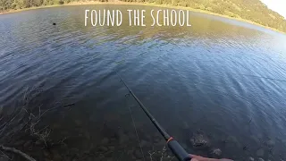 Fishing COYOTE LAKE FOR CRAPPIES