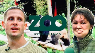 Benjamin Hav I Københavns Zoo (feat. Eva Jin)