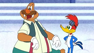 Woody and Wally work as a team | Woody Woodpecker