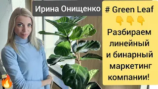 🔥Разбираем линейный и бинарный план выплат Green Leaf Грин Лиф Ирина Онищенко  #инвесторы_greenleaf