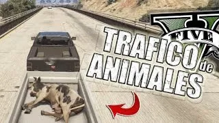 GTA V | TRAFICANDO ANIMALES EN GTA 5 (Grand Theft Auto 5)