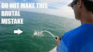 Fishing For TripleTail In Tampa Bay Florida Using Live Shrimp On Crab Traps!