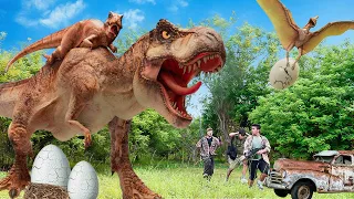 Most Dramatic T-rex Hunting | T-rex Vs King Kong | Jurassic Park Fan-Made Film | Dinosaur | Wow Dino