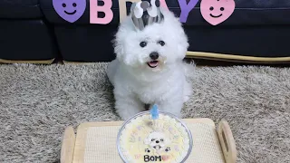 Surprising My Dog With Best Birthday Party!🎉🎁🎂🥳