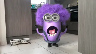 TOP 100 MINION ANIMATIONS IN REAL LIFE COMPILATION